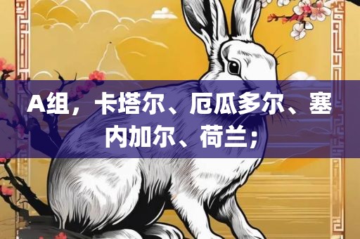 A组，卡塔尔、厄瓜多尔、塞内加尔、荷兰；