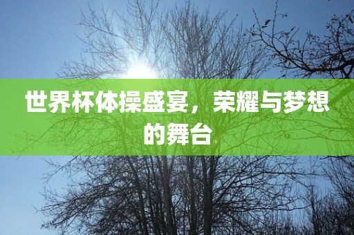 世界杯体操盛宴，荣耀与洪湖市顺升工程机械租赁有限公司梦想的舞台