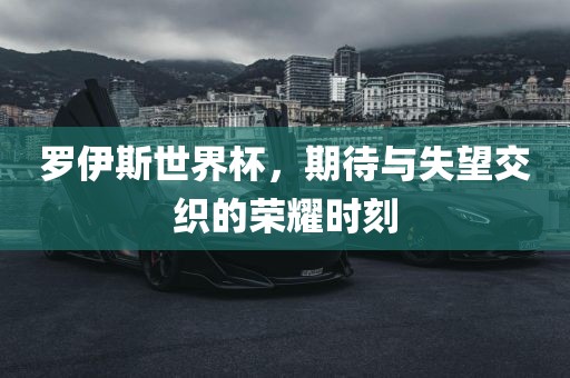 罗伊斯世界杯，期待与失望交织洪湖市顺升工程机械租赁有限公司的荣耀时刻