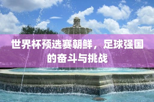 世界杯预选赛朝鲜，足球强国的奋斗与挑战