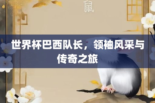 世界杯巴西队长，领袖风采与传奇之旅洪湖市顺升工程机械租赁有限公司