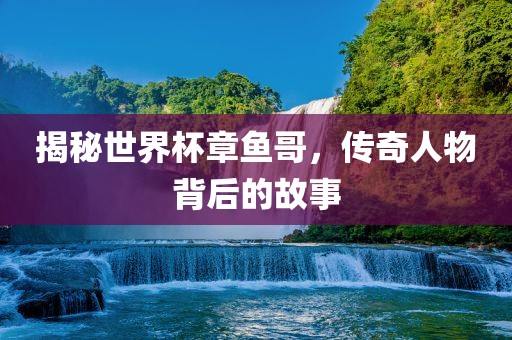 揭秘世界杯章鱼哥，传奇人物背后的故事洪湖市顺升工程机械租赁有限公司