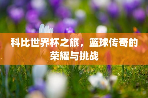 科比世界杯之旅，篮球传奇的荣耀与洪湖市顺升工程机械租赁有限公司挑战