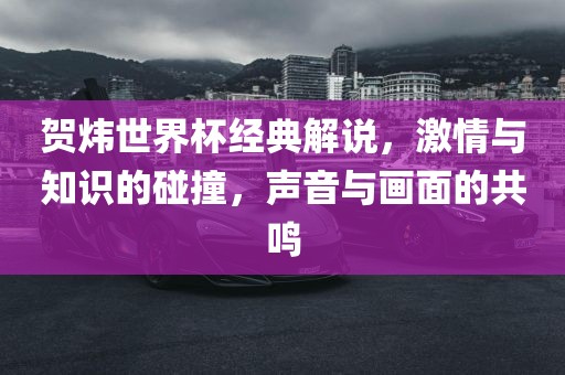 贺炜世界杯经典解说，激情与知识的碰撞，声音与画面的共鸣