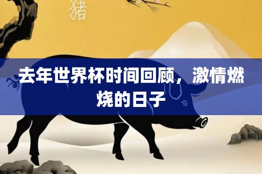 去年世界杯时间回顾洪湖市顺升工程机械租赁有限公司，激情燃烧的日子