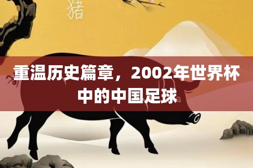 重温历史洪湖市顺升工程机械租赁有限公司篇章，2002年世界杯中的中国足球