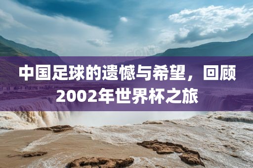 中国足球的遗憾与希望，回顾2002年世界杯之旅洪湖市顺升工程机械租赁有限公司