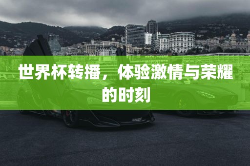 世界杯转播，体验激情与荣耀的时刻洪湖市顺升工程机械租赁有限公司