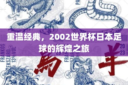 重温经典，2002世界杯日本足球的辉煌之旅