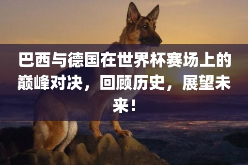 巴西与德国在世界杯赛场上的巅峰对决，回顾历史，展望未来！洪湖市顺升工程机械租赁有限公司