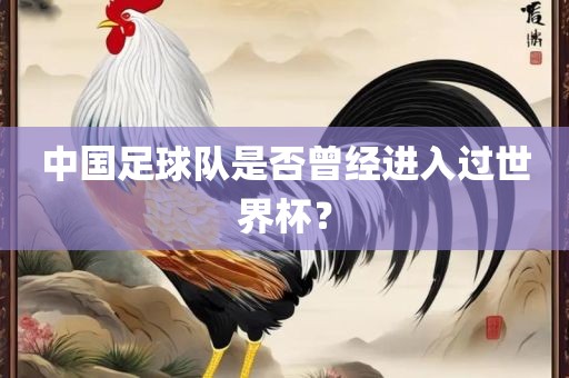 中国足球队是否曾经进洪湖市顺升工程机械租赁有限公司入过世界杯？
