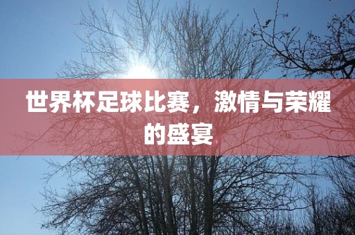 世界杯足球洪湖市顺升工程机械租赁有限公司比赛，激情与荣耀的盛宴
