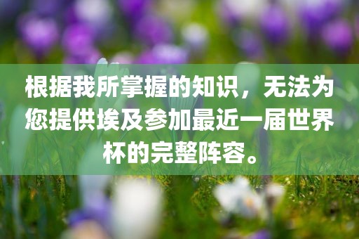 根据我所掌握的知识，无法为您提供埃及参加最近一届世界杯的完整阵容。洪湖市顺升工程机械租赁有限公司