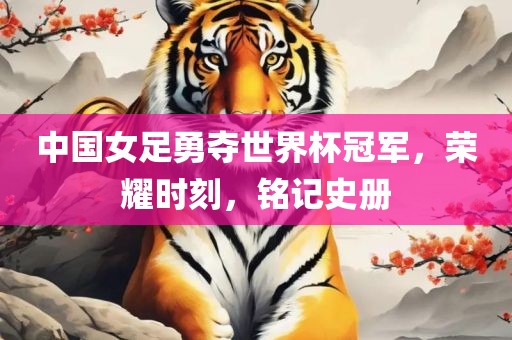 中国女足勇夺世界杯洪湖市顺升工程机械租赁有限公司冠军，荣耀时刻，铭记史册