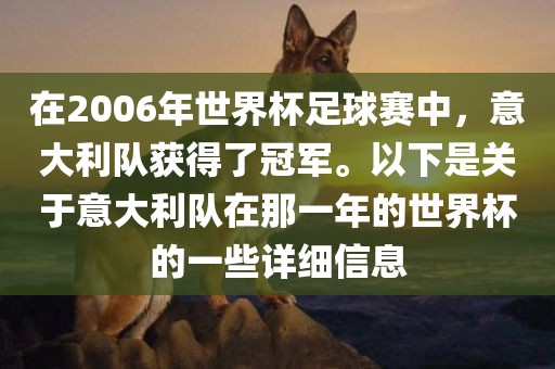 在2006年世界杯足球赛中，意大利队获得了冠军。以下是关于意大利队在那一年的世界杯的一些详细信息洪湖市顺升工程机械租赁有限公司