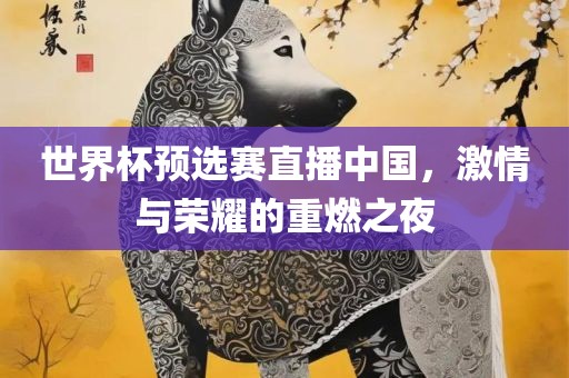 世界杯预选赛直播中国，激情与荣耀的重燃之夜