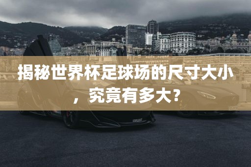 揭秘世界杯足球场的尺寸大小，究竟有多大？