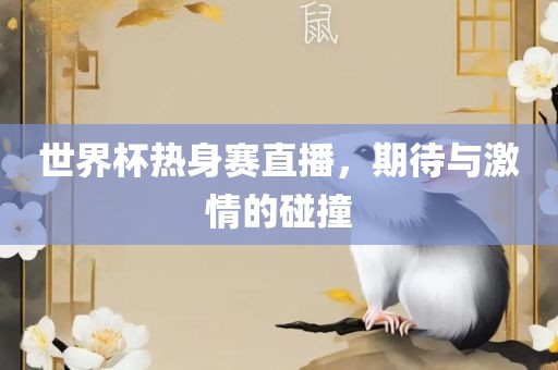 世界杯热身赛直播，期待与激情的碰撞