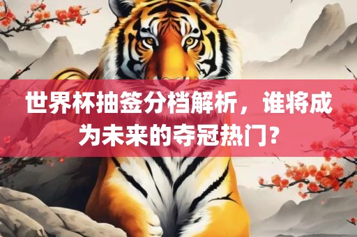 世界杯抽签分档解析，谁将成为未来的夺冠热门？