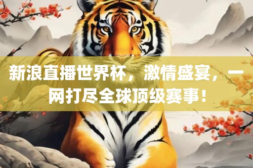 新浪直播世界杯，激情盛宴，一网打尽全球顶级赛事！洪湖市顺升工程机械租赁有限公司