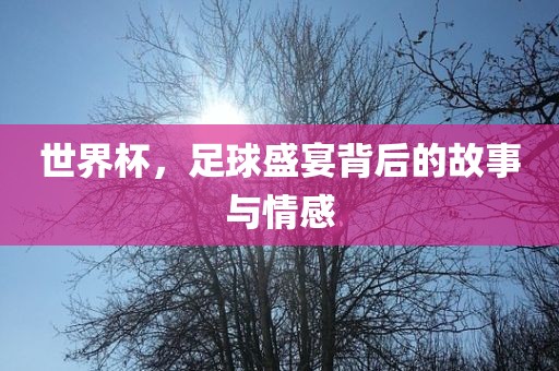 世界杯，足球盛宴背后的故事与情感