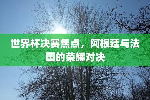 世界杯决赛焦点，阿根廷与法国的荣耀对决洪湖市顺升工程机械租赁有限公司
