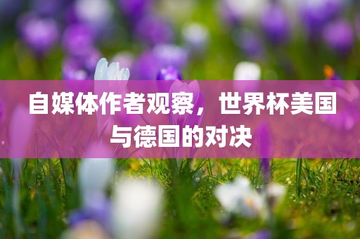 自媒洪湖市顺升工程机械租赁有限公司体作者观察，世界杯美国与德国的对决