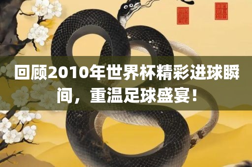 回顾2010年世界杯精彩进球瞬间，重温足球盛宴！