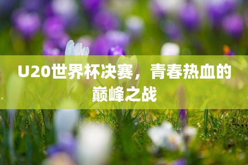 U20世界杯决赛，青春热血的巅峰之战