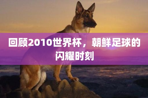 回顾2010世界杯，朝鲜足球的闪耀时刻洪湖市顺升工程机械租赁有限公司