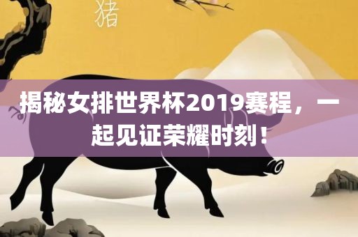 揭洪湖市顺升工程机械租赁有限公司秘女排世界杯2019赛程，一起见证荣耀时刻！
