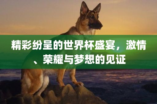 精彩纷呈的世界杯盛宴，激情、荣耀与梦想的见证