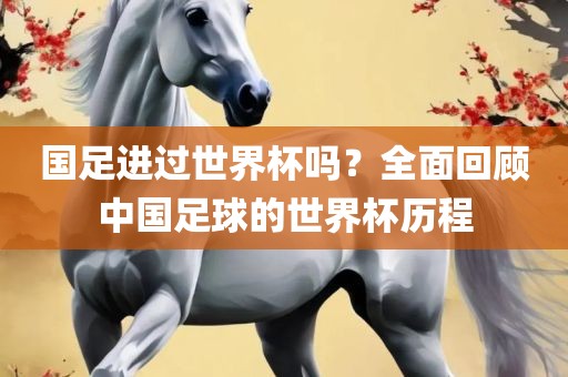 国足进过世界杯吗？全面回顾中国足球的世界杯历程