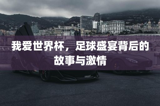 我爱世界杯，足球盛宴背后的故事与激情洪湖市顺升工程机械租赁有限公司