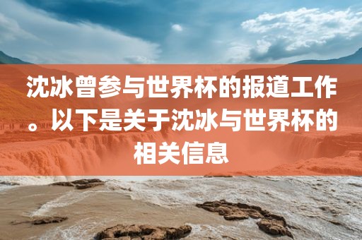沈冰曾参与世界杯的报道工作。以下是关于沈冰与世界杯的相关信息