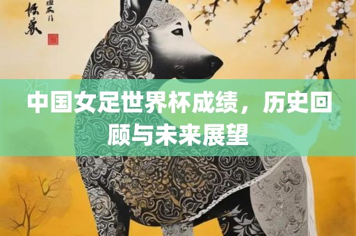 中国女足世界杯成绩，历史回顾与未来展望