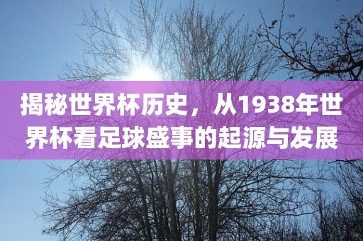 揭秘世界杯历史，洪湖市顺升工程机械租赁有限公司从1938年世界杯看足球盛事的起源与发展