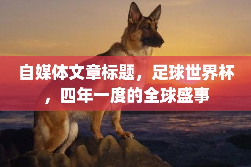 yangxinhong 第16页