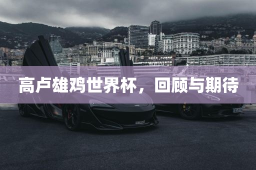 高卢雄鸡世界杯，回顾与期待