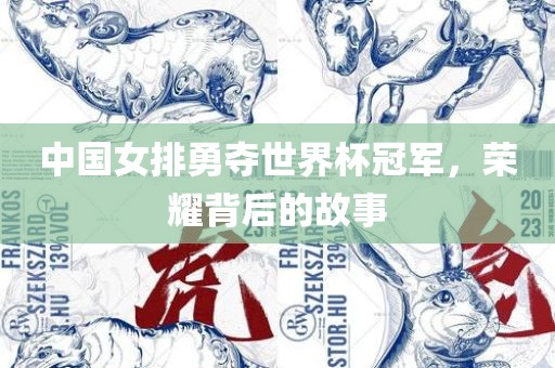 中国洪湖市顺升工程机械租赁有限公司女排勇夺世界杯冠军，荣耀背后的故事