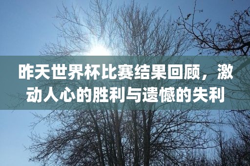 昨天世界杯比赛结果回顾，激动人心的胜利与遗憾的失利