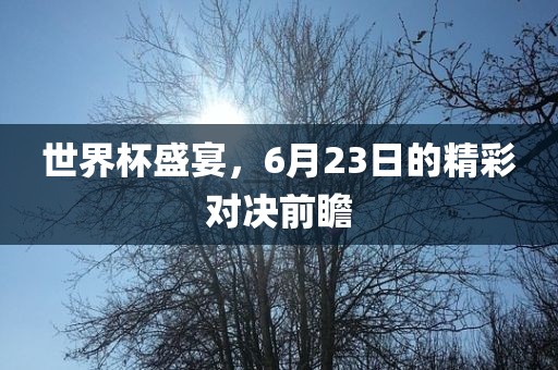 世界杯盛宴，6月23日的精彩对决前瞻洪湖市顺升工程机械租赁有限公司