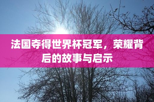 法国夺得世界杯冠军，荣耀背后的故事与启示