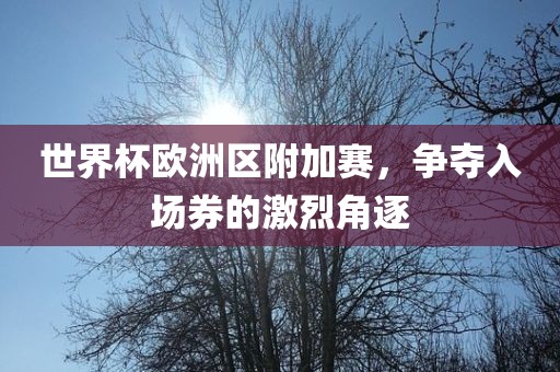 世界杯欧洲区附加赛，争夺入场券的激烈角逐洪湖市顺升工程机械租赁有限公司