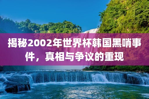揭秘2002年世界杯韩国黑哨事件，真相与争议的重现洪湖市顺升工程机械租赁有限公司