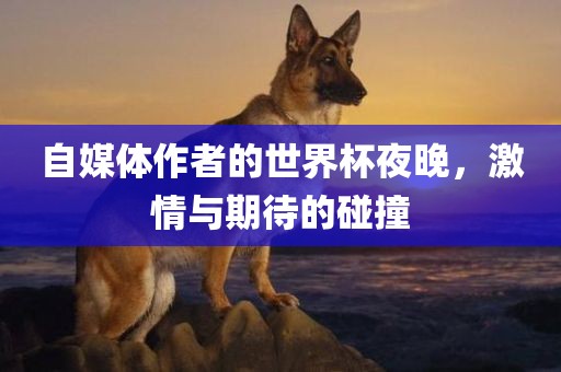 自媒体作者的世界杯夜晚，激情与期待的碰撞