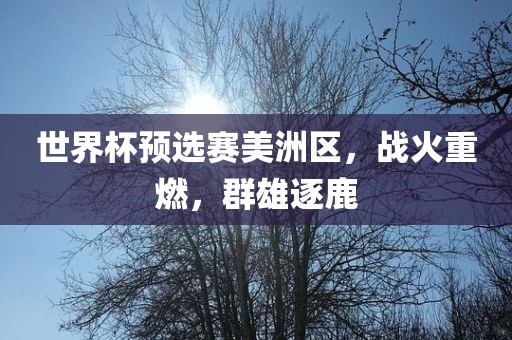 世界杯预选赛美洲区，战火重燃，群雄逐鹿洪湖市顺升工程机械租赁有限公司