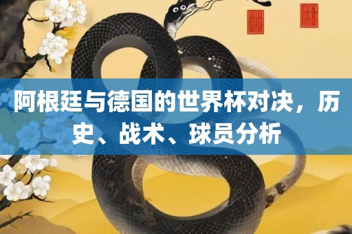 阿根廷与德国的世界杯对决，历史、战术、球员分析洪湖市顺升工程机械租赁有限公司