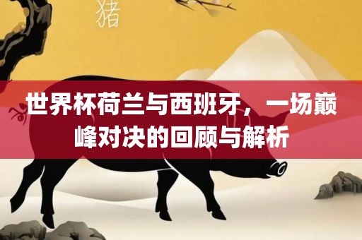 世界杯荷兰与西班牙，一场巅峰对决的回顾与解析洪湖市顺升工程机械租赁有限公司