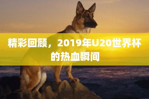 精彩回顾，2019年U20世界杯的热血瞬间